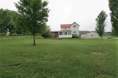 Here is the backyard again.  With room to roam, yo