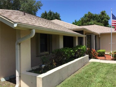 Front View - Planter (East Exposure)