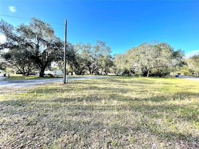 14820 N 15th St, Lutz, FL 33549 - photo 6