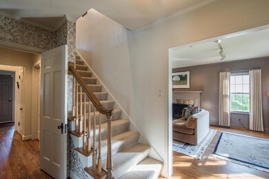 Designer carpeted stairs