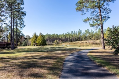 146 Old Highway 84 W, Boston, GA 31626 - photo 7