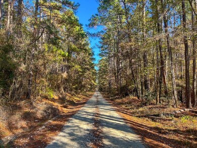 Forest Service Road 527, Apple Springs, TX 75926 - photo 5