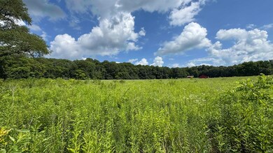 1089 S River Rd, Covington, IN 47932 - photo 5