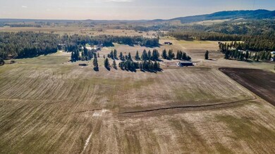 13111 E Gibbs Rd, Valleyford, WA 99023 - photo 2