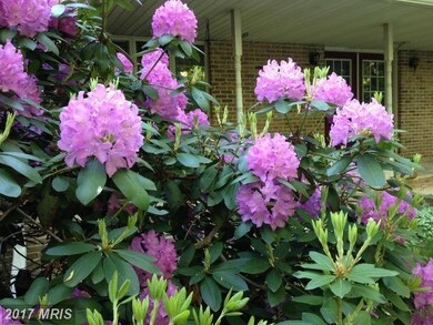 1336 Baltimore Rd, Shippensburg, PA 17257 - photo 6