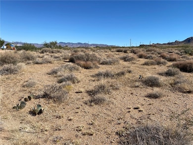 9464 N Bridlebit Ave unit 14, Kingman, AZ 86401 - photo 2