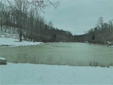 Pond View