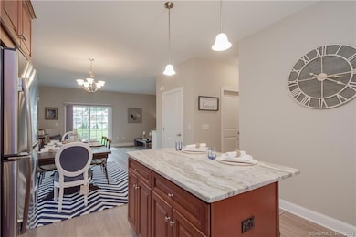 24 Mill Pond Dr unit 17, Granby, CT 06035 - photo 6