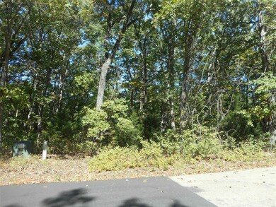 232 Buzzard Rock Rd, Farmington, MO 63640 - photo 2