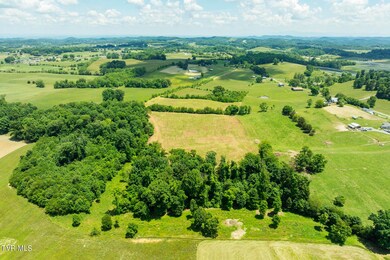 DJI_0768