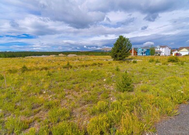 0 Platte Dr unit REC4328064, Fairplay, CO 80440 - photo 3