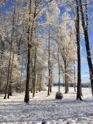 717 County Road 91, Roanoke, AL 36274 - photo 4