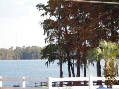 1017 3rd St, Florala, AL 36442 - photo 3