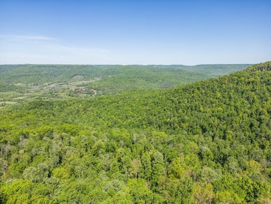 Lot 112 Westridge Trail, Monterey, TN 38574 - photo 6