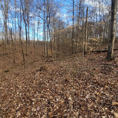 0 Mathis Cemetery Rd unit RTC2489831, Stewart, TN 37175 - photo 6