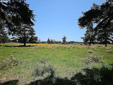 43460 Nicholson Dr, Port Orford, OR 97465 - photo 7