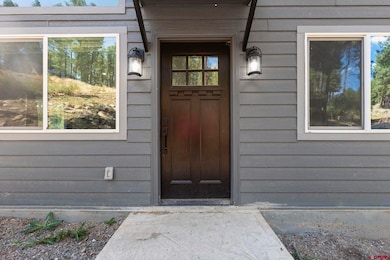 673 Mesa Dr, Bayfield, CO 81122 - photo 3