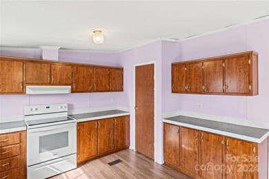 436 Beth Haven Church Rd, Denver, NC 28037 - photo 3