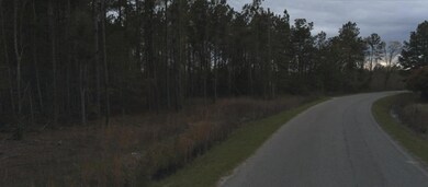 0 Dike Rd unit 25010257, Bonneau, SC 29431 - photo 6