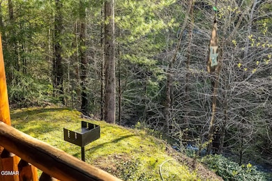 3310 Covered Bridge Way, Sevierville, TN 37862 - photo 3