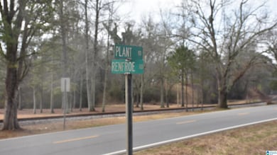 0 Renfroe Rd unit 21407810, Talladega, AL 35160 - photo 6