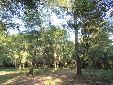 31032 Hegar Rd, Hockley, TX 77447 - photo 4