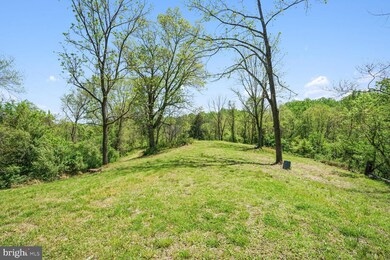 20820 Beaverdam Bridge Rd, Middleburg, VA 20117 - photo 4