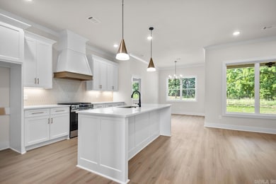 3901 Spencer Crossing Dr, Benton, AR 72019 - photo 6