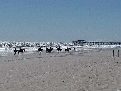 772 Culbertson Ave unit Lot 35, Myrtle Beach, SC 29577 - photo 6