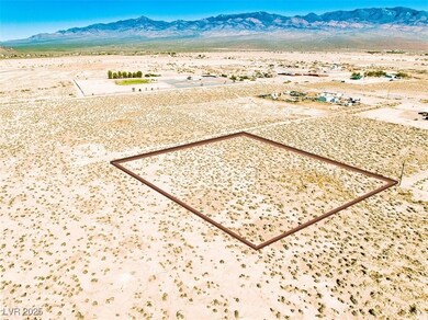 1911 W River Run St, Pahrump, NV 89060 - photo 6