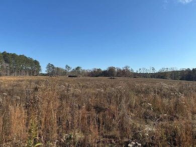 Hwy 397 S, Louisville, MS 39339 - photo 2