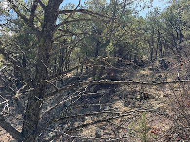 TR-121 19th Trail, Cotopaxi, CO 81223 - photo 3