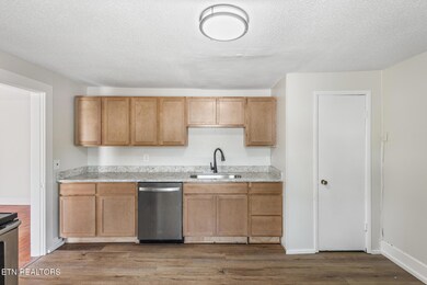 900 and a half Mulberry-11