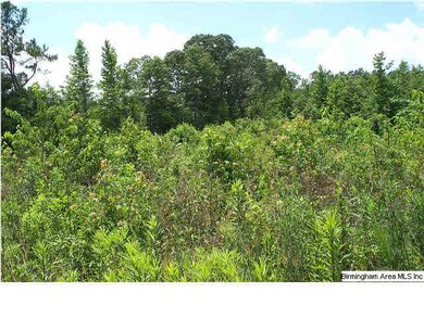 0 County Road 66 unit 2, Wedowee, AL 36278 - photo 6