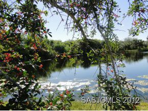 Pond View