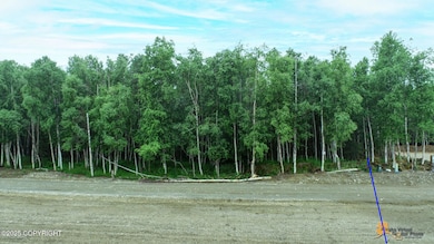 West side of air strip Lot 2  B