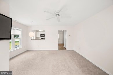 30952 Crepe Myrtle Dr unit 30, Millsboro, DE 19966 - photo 6