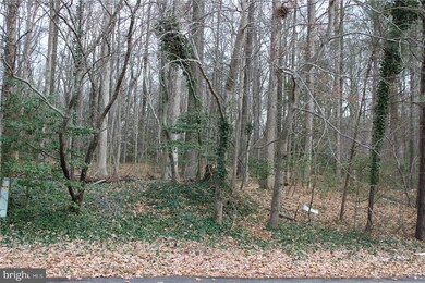 10 Sylvan Vue Dr unit 10, Dagsboro, DE 19939 - photo 2