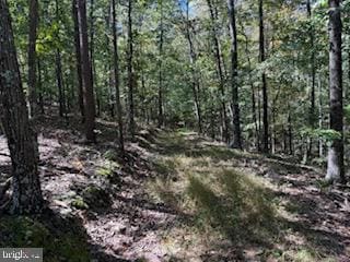 0 Palmer Rd unit WVBE2044118, Gerrardstown, WV 25420 - photo 2