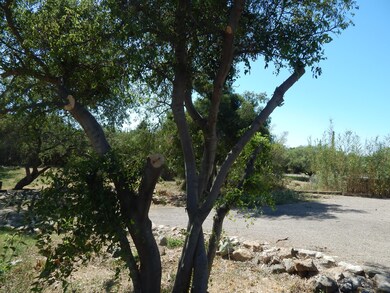 DSCN5845