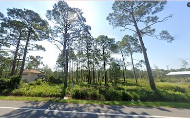 5262 State Road 30a, Port Saint Joe, FL 32456 - photo 7