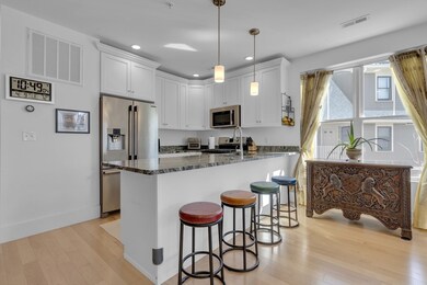 41 Woodville St unit 4, Boston, MA 02119 - photo 6