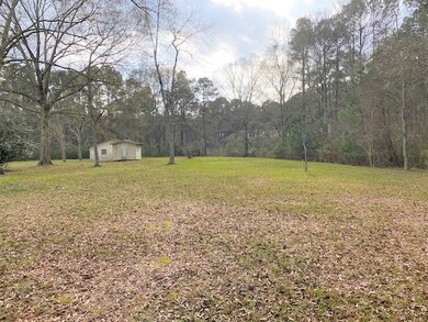 3164 Martin Rd, Summit, MS 39666 - photo 3