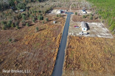 115 Jerold Jones Dr, Jesup, GA 31545 - photo 3