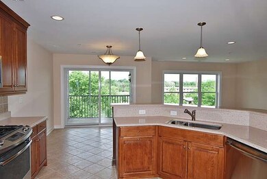 206 N Water St unit 301, Batavia, IL 60510 - photo 6