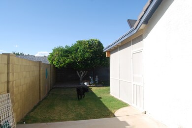 Backyard 2