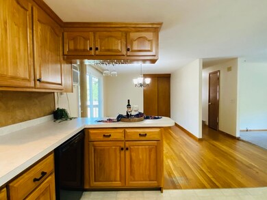 19 Helm St, South Hadley, MA 01075 - photo 5