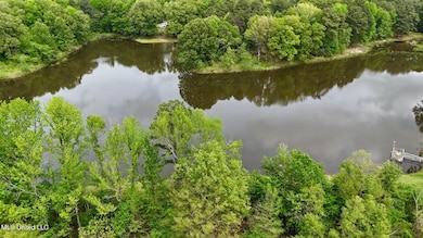 Arkabutla Lake