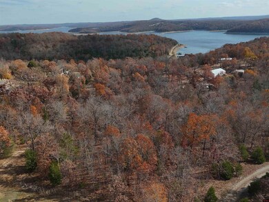 002-11055-000 Buckhead Ln, Mountain Home, AR 72653 - photo 3