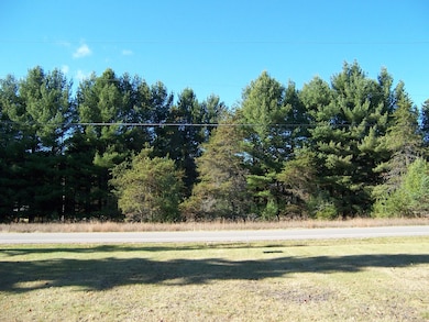 .57 Acres N Markey Rd, Roscommon, MI 48653 - photo 7